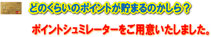 ポイントシュミレーター